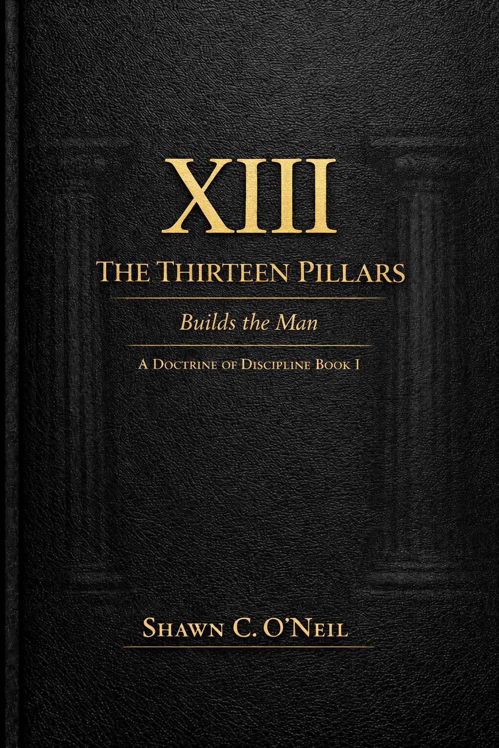 The XIII Pillars cover by Shawn C. O'Neil